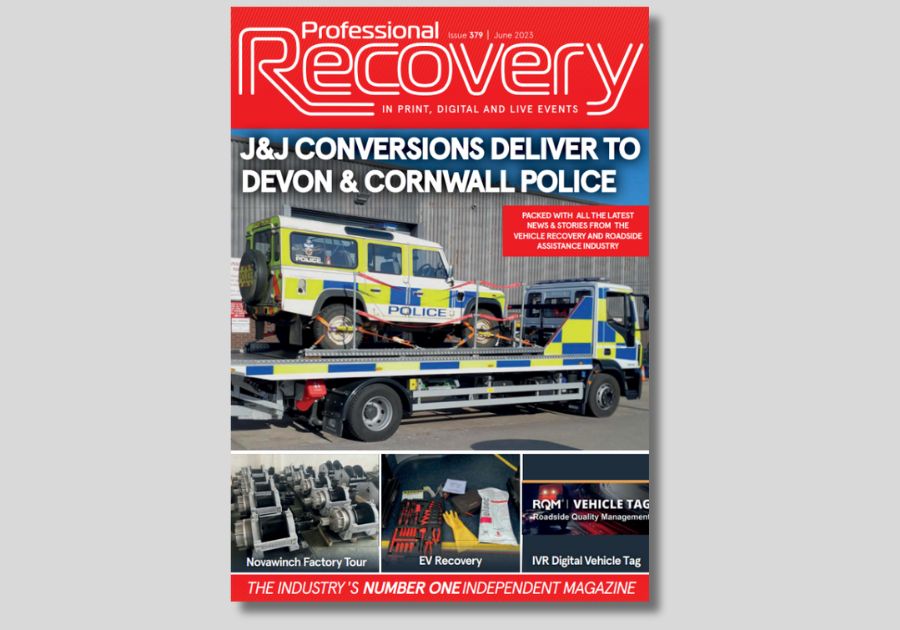 Professional Recovery: Issue 379