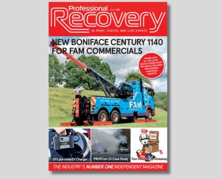 Professional Recovery: Issue 381