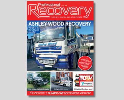 Professional Recovery: Issue 382