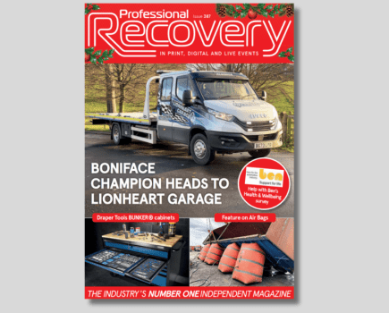 Professional Recovery: Issue 387