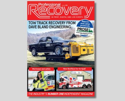 Professional Recovery: Issue 393