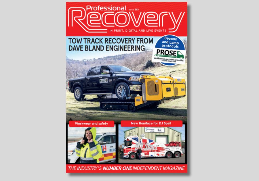 Professional Recovery: Issue 393
