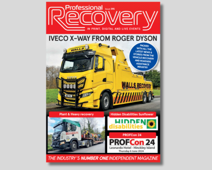 Professional Recovery: Issue 395